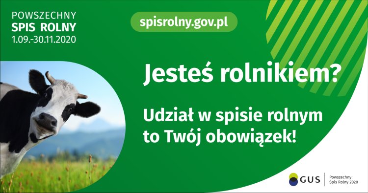 Obowiązek spisowy - grafika na stronę internetową 750